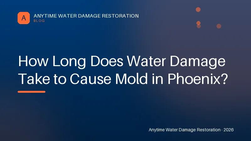 How Long Does Water Damage Take to Cause Mold in Phoenix?